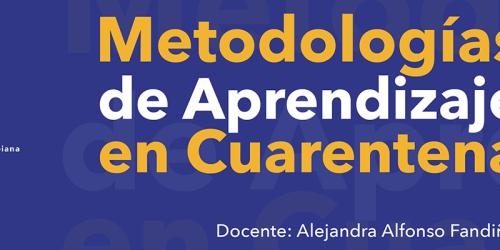 Metodologías de Aprendizaje en Cuarentena