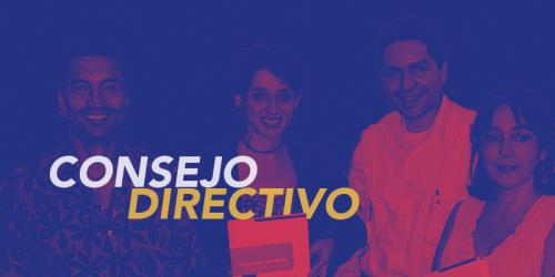 Consejo Directivo I