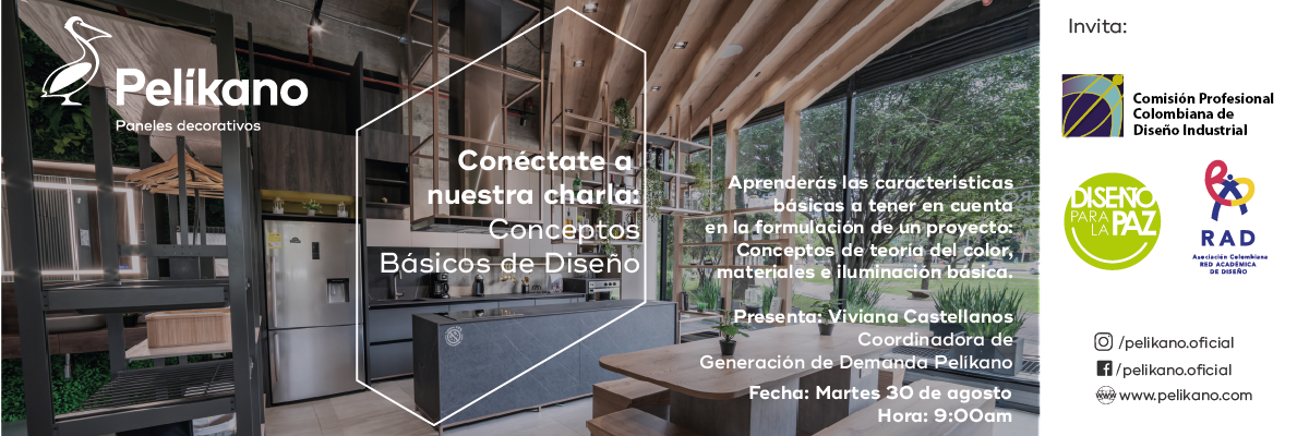 Charla :: Conceptos Básicos De Diseños